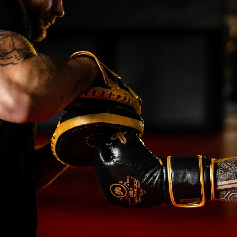 Multi-layer boxing gloves - ProFighter Gold - Legacy Series rękawice treningowe Your Sports Performance