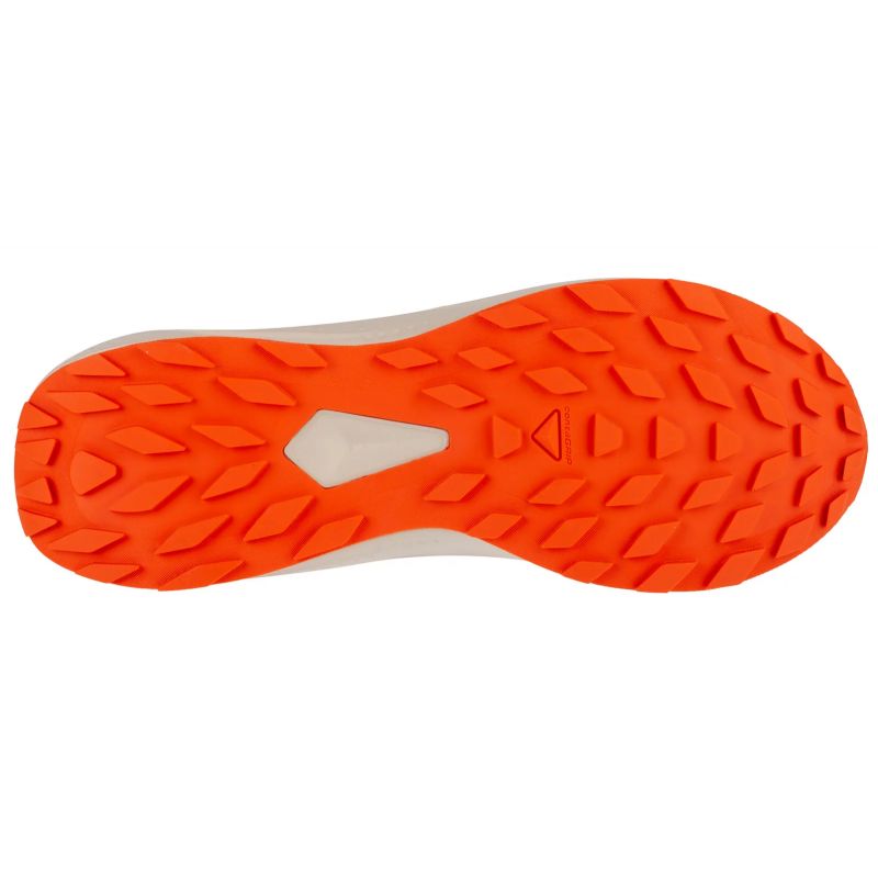 Salomon Alphaglide M L47801100 Running Shoes Footwear/Running/Men Your Sports Performance