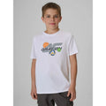 Boys' regular-fit printed T-shirt 4F 4FJRAW26TTSHM4346-10S