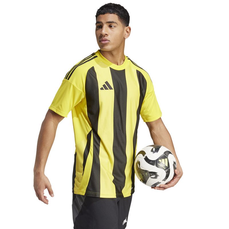 Adidas Striped 24 JSY M T-shirt IW2146 Clothing/Football Adidas