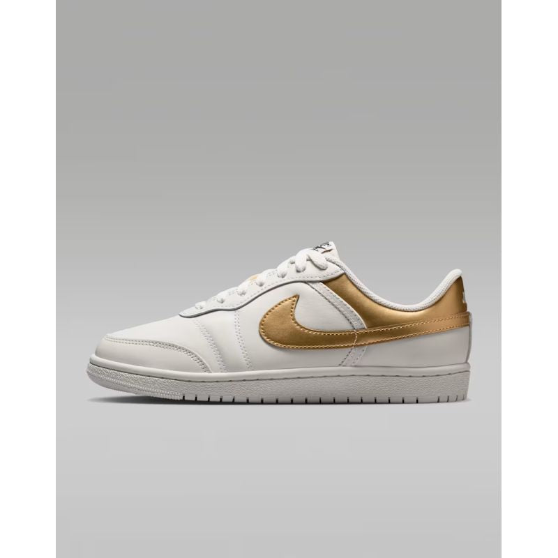 NIKE WMNS AIR JORDAN SKYLINE LOW LE women's shoes (IQ6586-100)