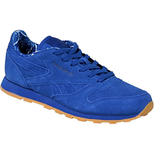 Reebok Classic Leather TDC JR BD5052 shoes Footwear/Lifestyle Reebok