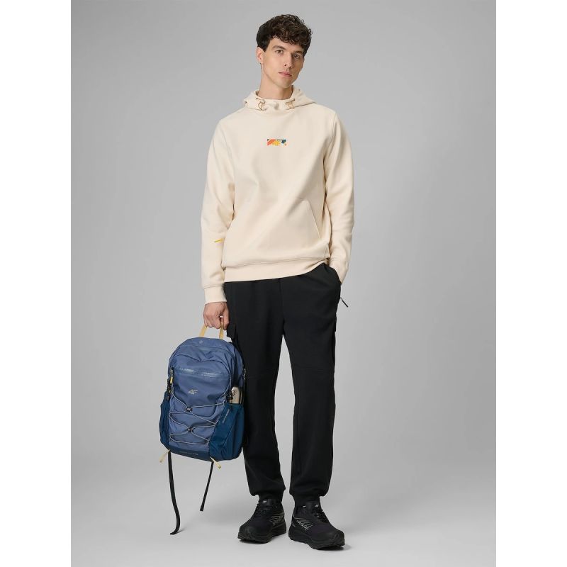 Men's regular hooded sweatshirt 4F 4FRSS26TSWSM2894-12S 4f