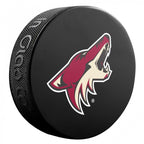 Souvenir Hockey puck Inglasco NHL Basic 510AN000400 Accessories/Training equipment Your Sports Performance