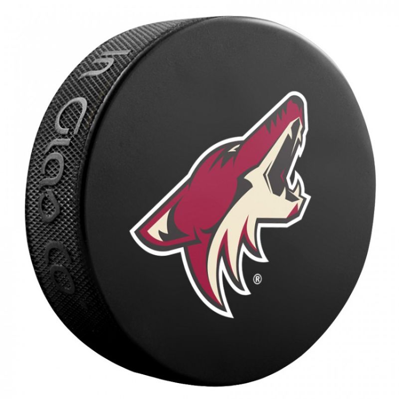Souvenir Hockey puck Inglasco NHL Basic 510AN000400 Accessories/Training equipment Your Sports Performance