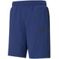 Puma Amplified M 585786 12 shorts Clothing/Training Puma