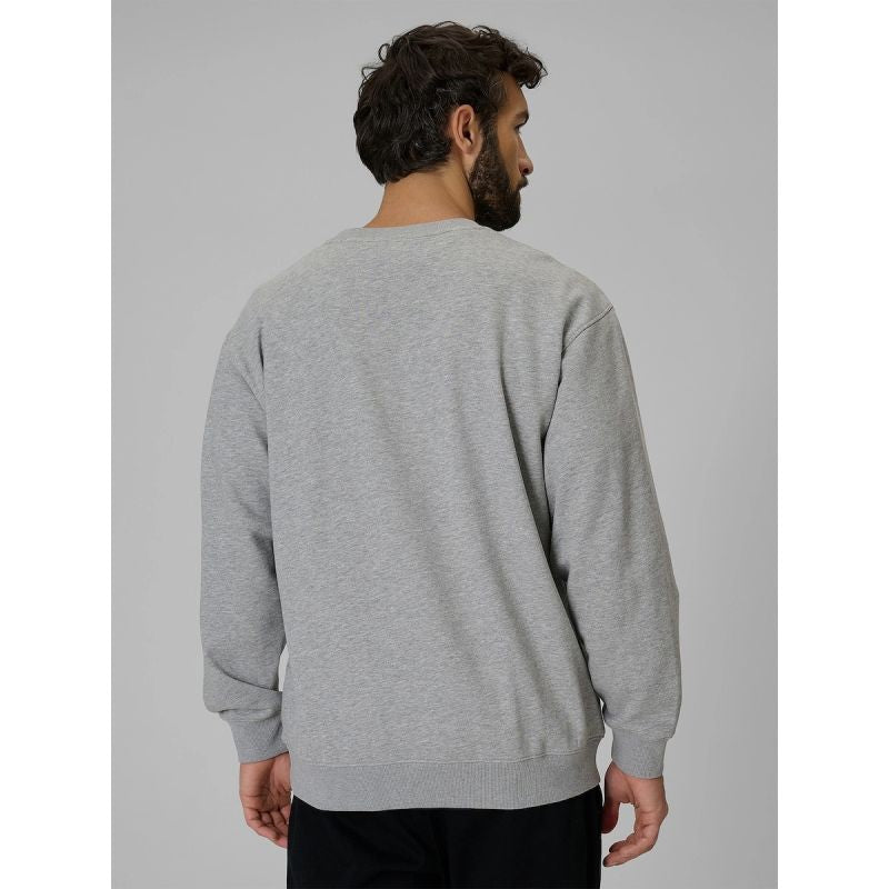 Men's regular sweatshirt without hood 4F 4FRMM00TSWSM3059-27M