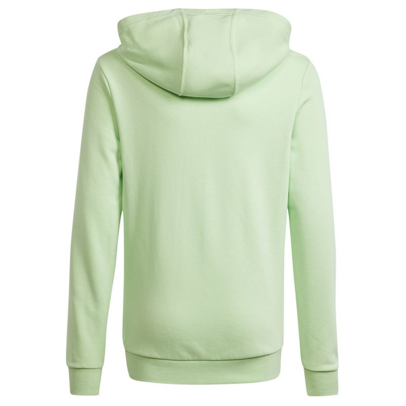 Adidas Big Logo Hoodie Jr IS2591 sweatshirt Clothing/Lifestyle Adidas