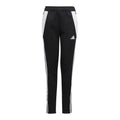 Adidas Tiro 24 Slim Jr pants IJ7667 Clothing/Football Adidas