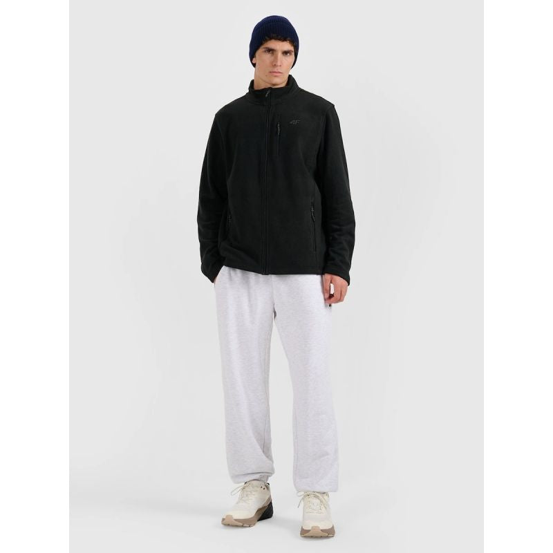 Regular fleece with stand-up collar men's 4F 4FRMM00TFLEM435-20S 4f