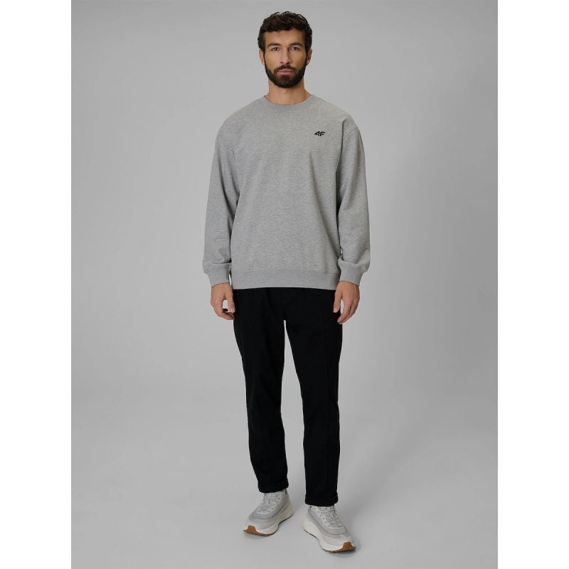 Men's regular sweatshirt without hood 4F 4FRMM00TSWSM3059-27M