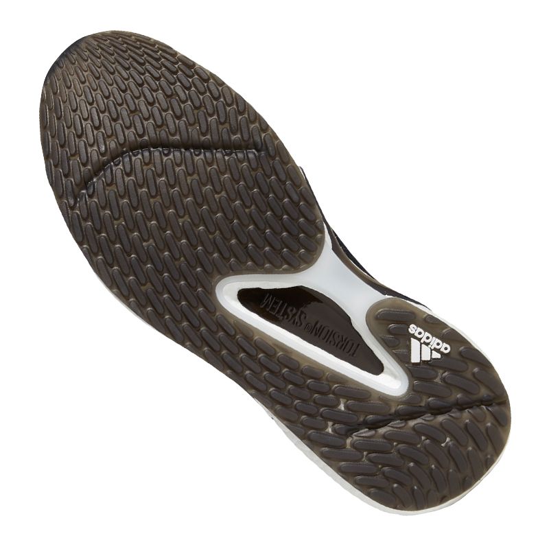 Running shoes adidas Alphatorsion Boost M FV6167 Footwear/Running/Men Adidas