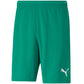 Puma teamRISE Short M 704942 05 Clothing/Football Puma