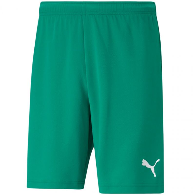 Puma teamRISE Short M 704942 05 Clothing/Football Puma
