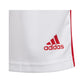 Shorts adidas Squadra 21 Jr GN5763 Clothing/Training Adidas