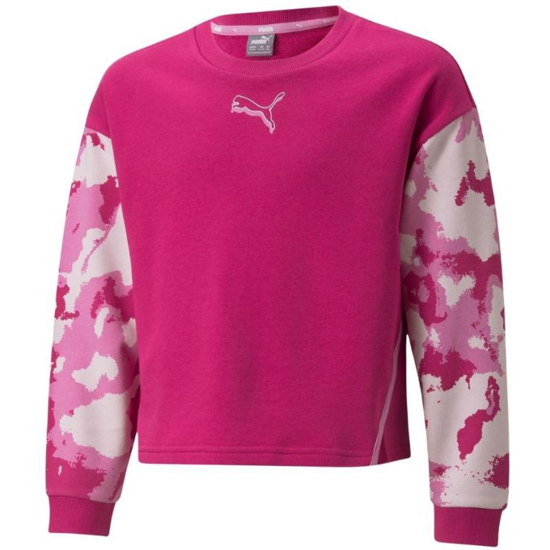 Sweatshirt Puma Alpha Crew TR Jr 846941 14 Clothing/Training Puma