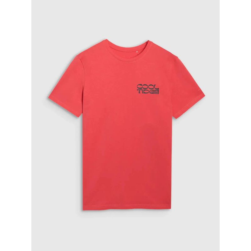Men's regular printed T-shirt 4F 4FWSS25TTSHM1984-63S 4f