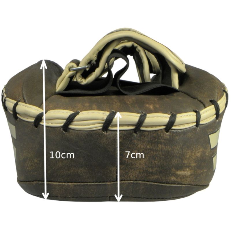 Masters Tpao-Vintage 14666-V leather training discs Accessories/Martial arts equipment/Tarcze Your Sports Performance