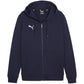 Puma Team Goal Casuals Hooded M 658595 06 sweatshirt Clothing/Football Puma