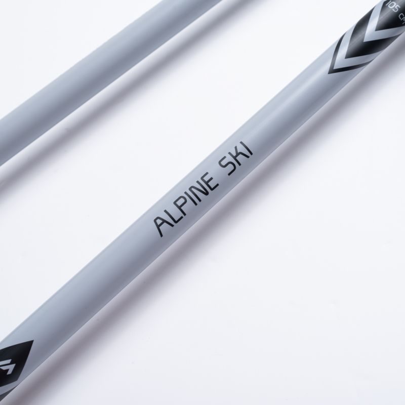 ALPINE SKI II poles In preparation Your Sports Performance