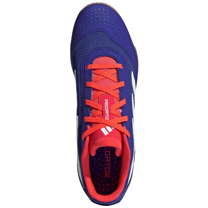 Adidas Predator Club Sala IN M IF6403 football shoes Footwear/Football Adidas