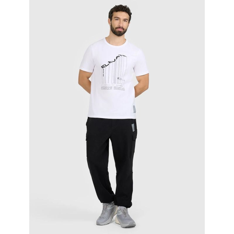 Men's regular printed T-shirt 4F 4FRAW25TTSHM3845-10S 4f