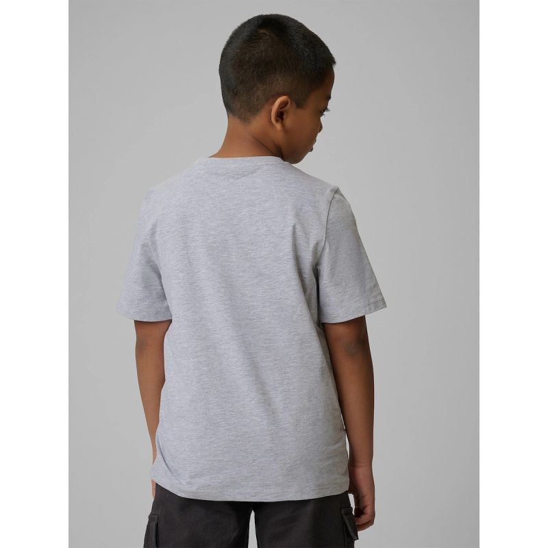 Boy's regular printed T-shirt 4F 4FJRSS26TTSHM3599-10S 4f