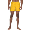 Nike Essential 5 M NESSF560 704 Swim Shorts Clothing/Swimming/Nike Nike