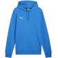 Puma Team Goal Casuals Hoody M 658618 02 Clothing/Training Puma