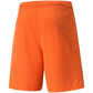 Puma teamRise Short Prist M 704942 08 Clothing/Training Puma