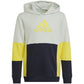 Adidas Colourblock Hoodie Jr HN8567 sweatshirt Clothing/Lifestyle Adidas