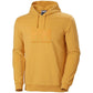 Helly Hansen Logo Hoodie M 33977-364 Clothing/Outdoor/Helly Hansen Your Sports Performance
