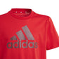T-shirt adidas Big Logo Tee Jr IJ6262 Clothing/Lifestyle/T-shirts Adidas