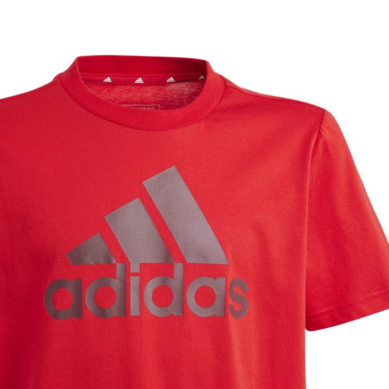 T-shirt adidas Big Logo Tee Jr IJ6262 Clothing/Lifestyle/T-shirts Adidas