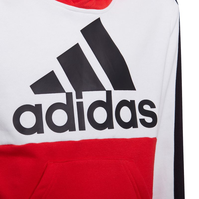 Adidas Colorblock Fleece Hoodie Jr HC5657 sweatshirt Clothing/Training Adidas