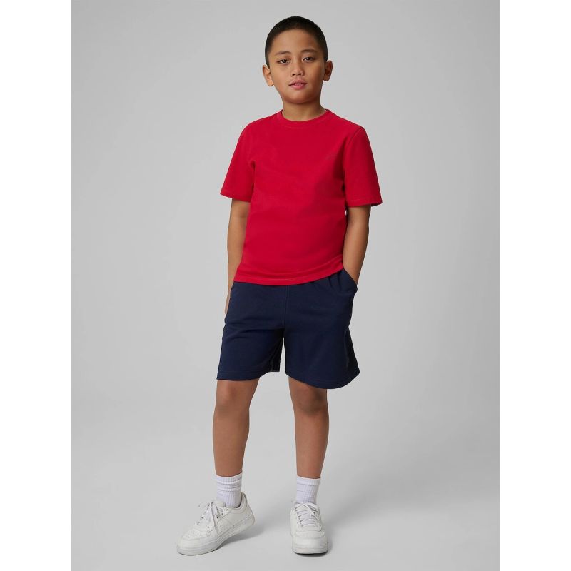 Boy's sweatpants 4F 4FJRSS26TSHOM0866-31S