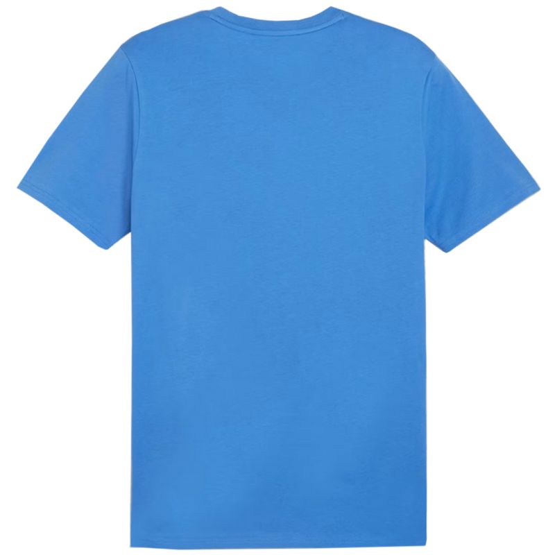 Puma Team Goal Casuals Tee M 658615 02 Clothing/Lifestyle/T-shirts Puma