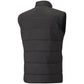 Puma teamLiga Vest M 657968 03 Clothing/Training Puma