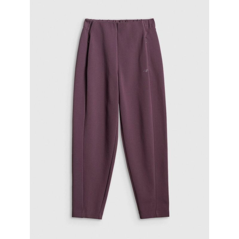 Women's sweatpants 4F 4FRSS26TTROF1885-50S 4f