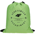 Shoe bag 4F M055 4FJWAW23AGYMM055 41S Accessories/Sachets / Belts / Bags 4F