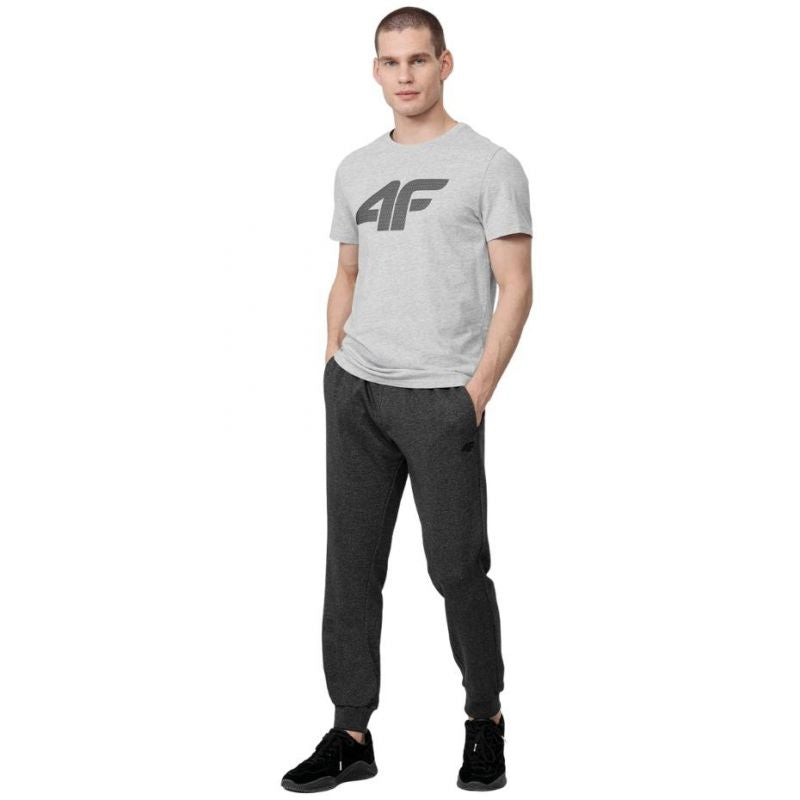 T-shirt 4F M H4Z22 TSM353 27M Clothing/Lifestyle/T-shirts 4F