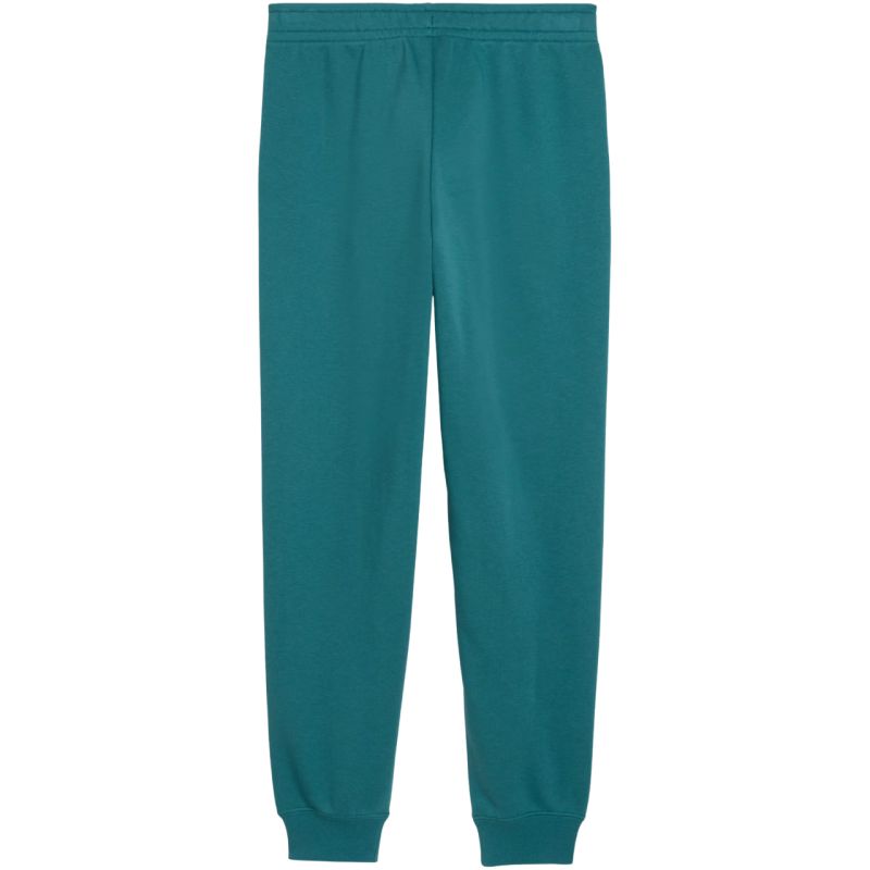 Puma ESS 2 Color No. 1 Logo Kids Pants Green 693892 41