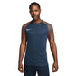 Nike Dri-Fit Academy SS M T-shirt DH8031-411 Clothing/Football Nike