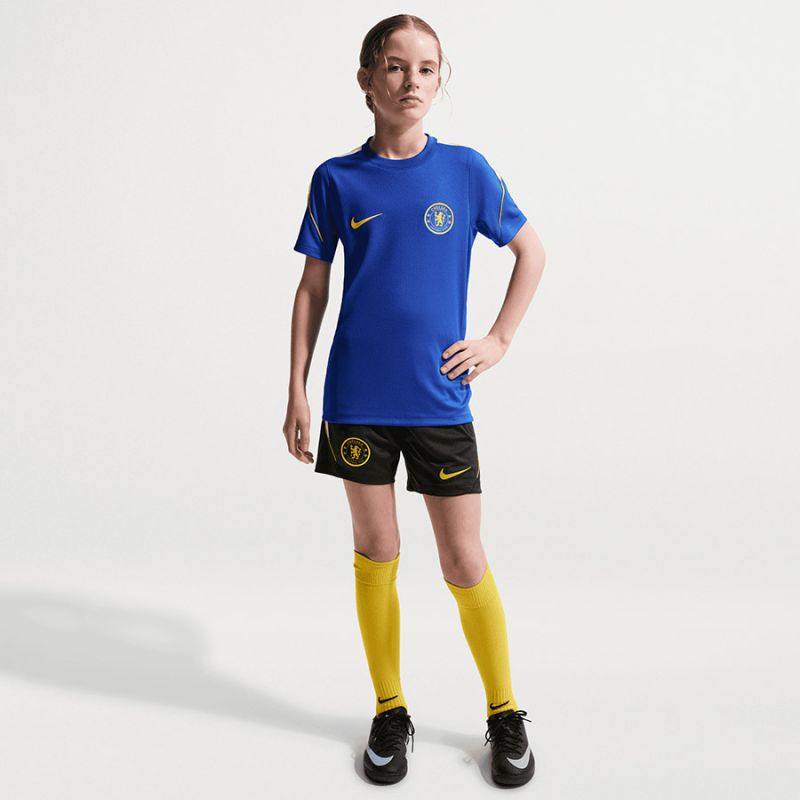 Nike Chelsea FC Strike SS Top II2674-452