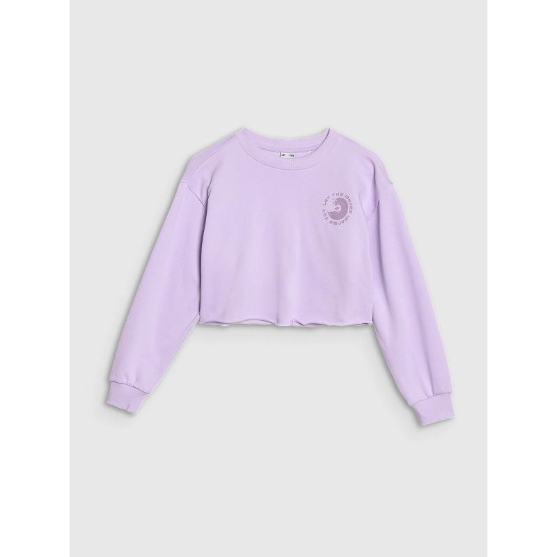 Girls' sweatshirt without a hood, 4F 4FJWSS25TSWSF1504-52S *Kategoria tymczasowa Your Sports Performance