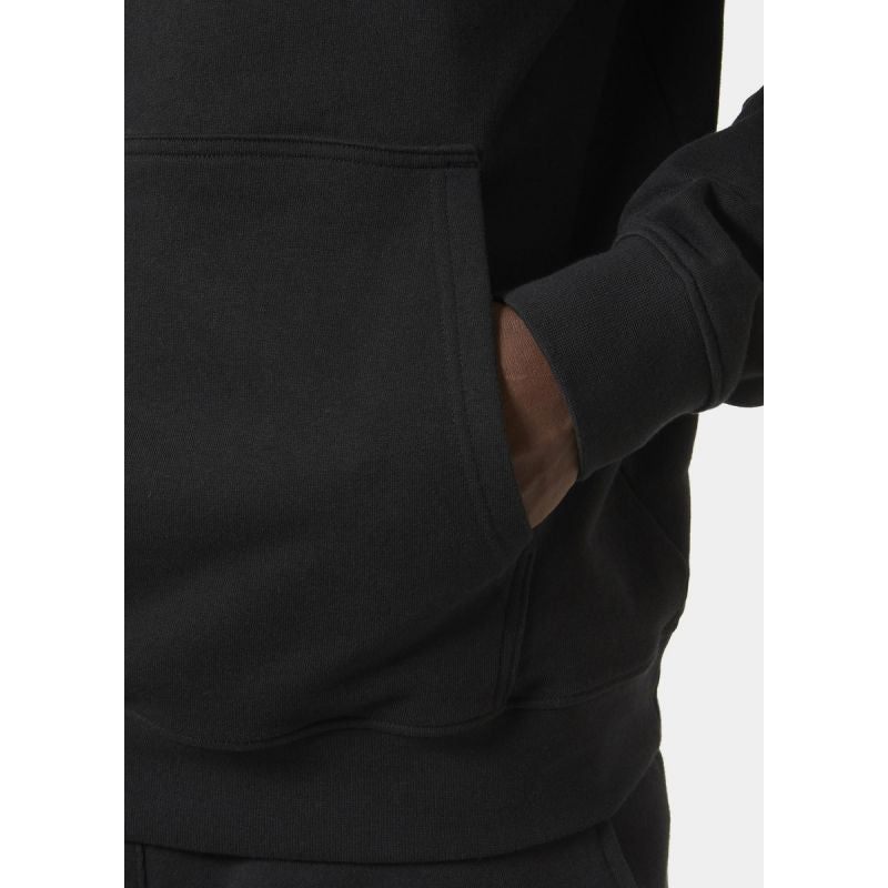 Helly Hansen Core Graphic Sweat Hoodie M 53924 993 Clothing/Outdoor/Helly Hansen Your Sports Performance