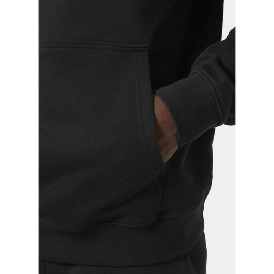 Helly Hansen Core Graphic Sweat Hoodie M 53924 993 Clothing/Outdoor/Helly Hansen Your Sports Performance