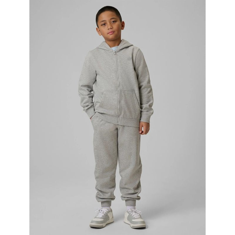 Boy's regular hooded sweatshirt 4F 4FJRMM00TSWSM2747-25M