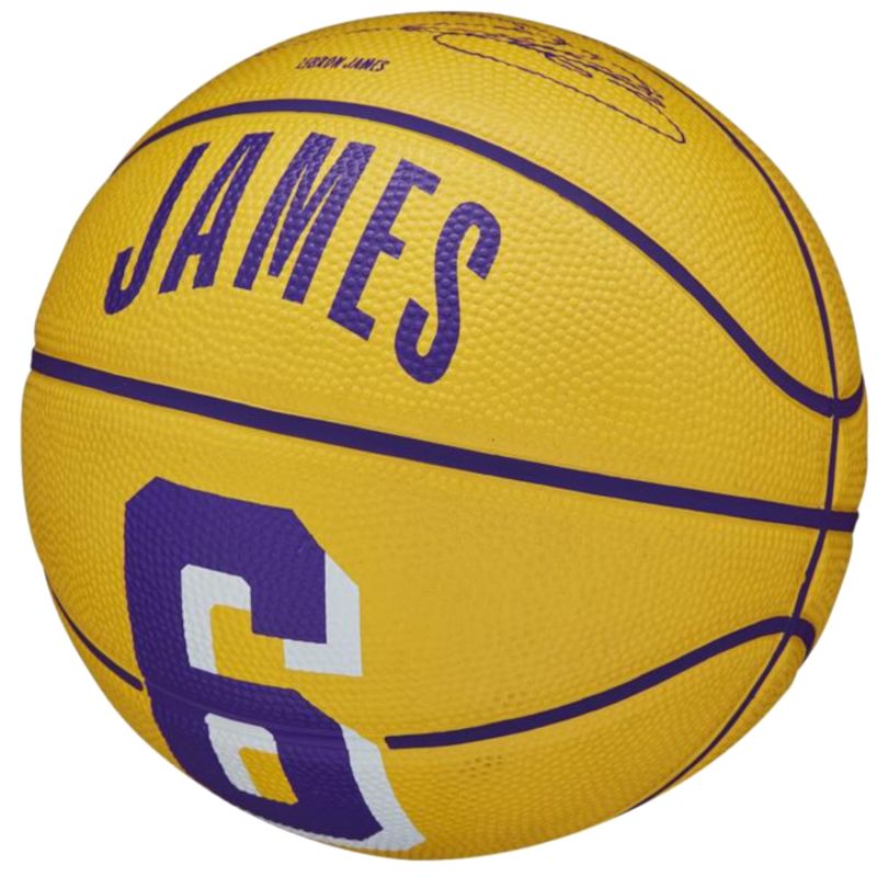 Basketball ball Wilson NBA Player Icon LeBron James Mini Ball