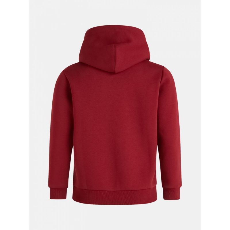Peak Performance Original Small Logo Hood W G78115120-RR1 Clothing , Sweatshirts , Women Your Sports Performance